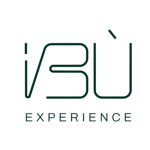 VBU Experience