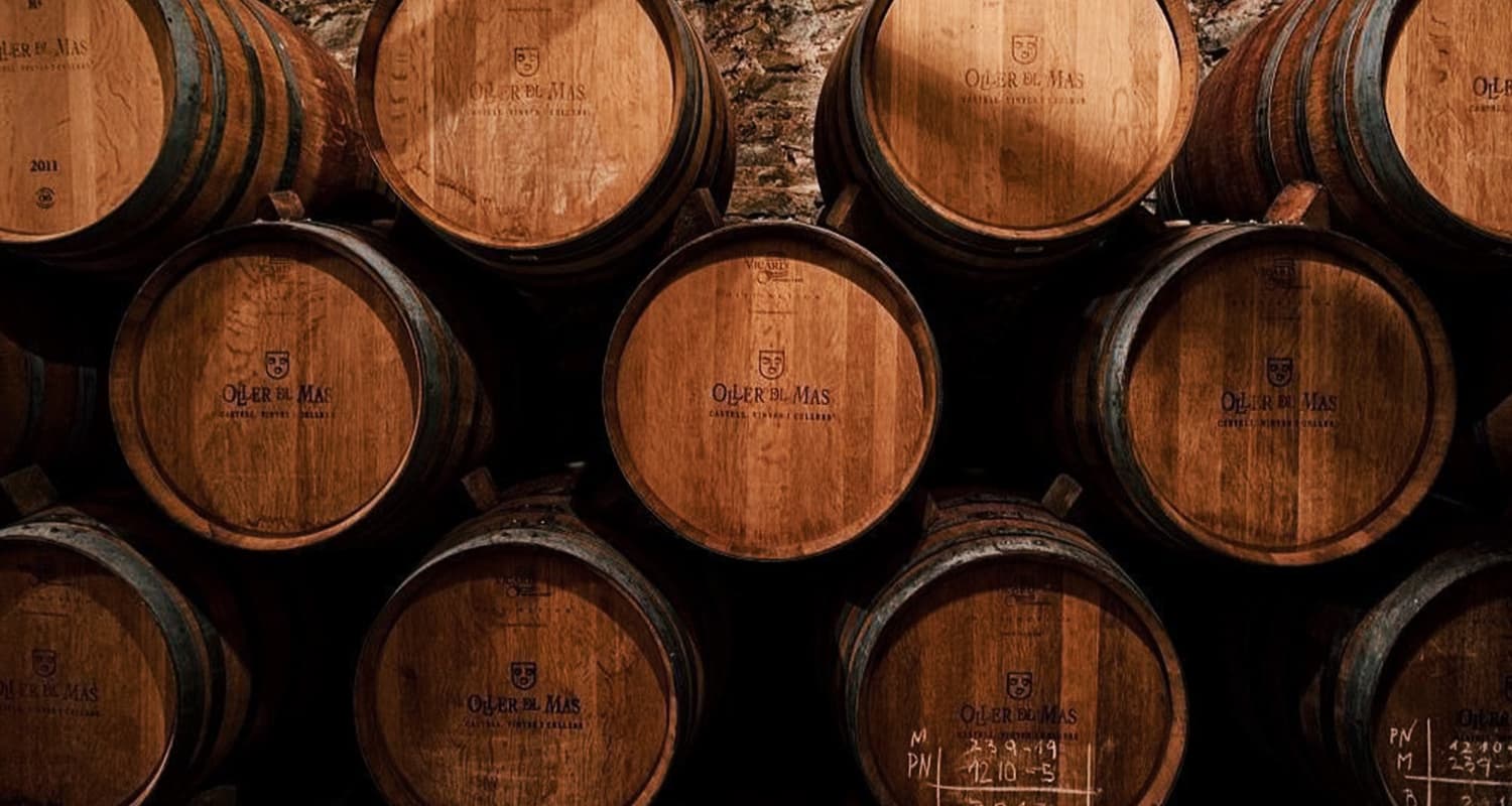 IBÙ Signature Collection