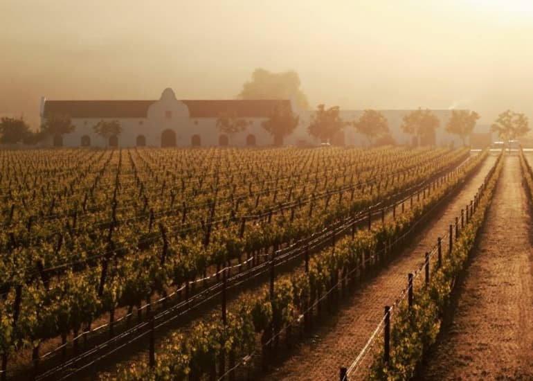 IBÙ Signature Gallery