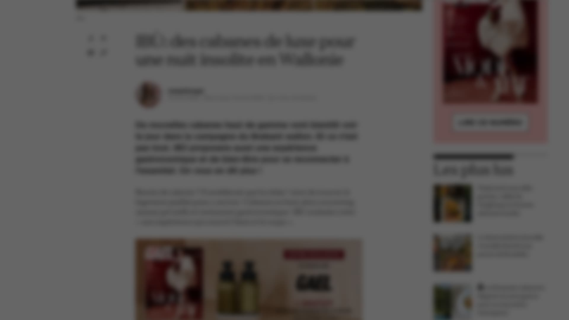 GAEL - Ibu Expérience