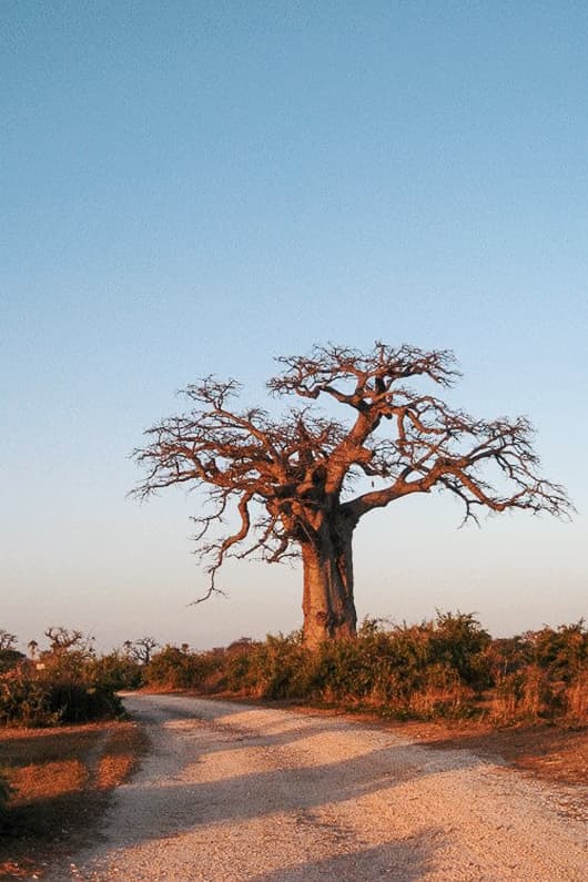 Une histoire de famille