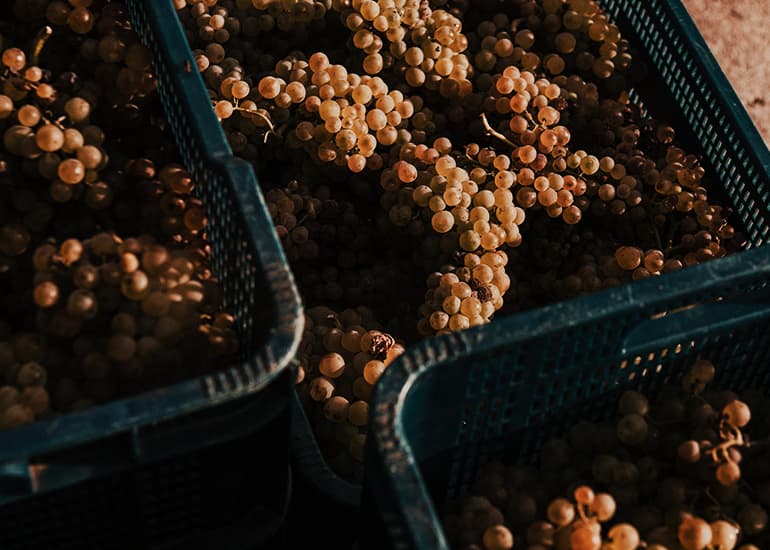 Domaine de Mehaignoul Gallery